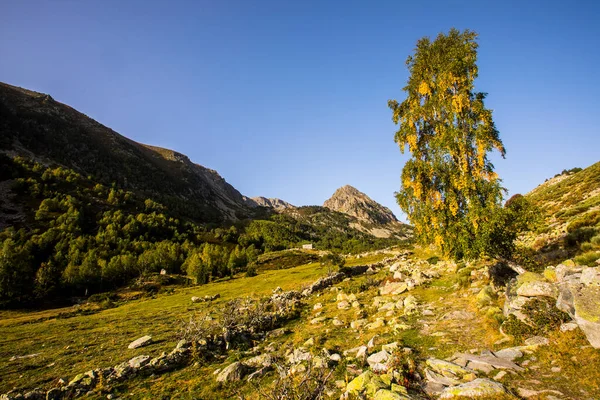 Mountain Landscape Campcardos Valley Cerdanya Pyrenees France — Fotografia de Stock