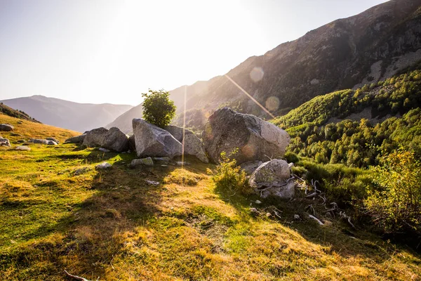 Mountain Landscape Campcardos Valley Cerdanya Pyrenees France — 스톡 사진