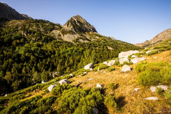 Mountain Landscape Campcardos Valley Cerdanya Pyrenees France — 스톡 사진