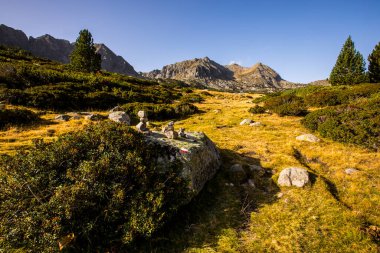 Mountain landscape in Campcardos valley, La Cerdanya, Pyrenees, France.