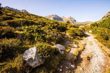 Mountain landscape in Campcardos valley, La Cerdanya, Pyrenees, France.