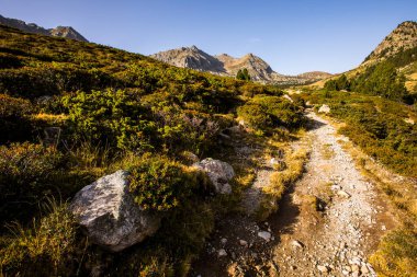 Mountain landscape in Campcardos valley, La Cerdanya, Pyrenees, France.
