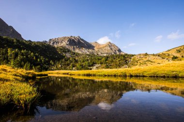 Mountain landscape in Campcardos valley, La Cerdanya, Pyrenees, France.