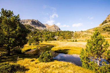 Mountain landscape in Campcardos valley, La Cerdanya, Pyrenees, France. clipart