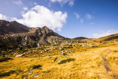 Mountain landscape in Campcardos valley, La Cerdanya, Pyrenees, France.