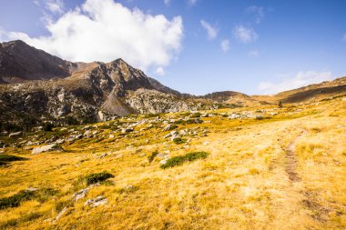Mountain landscape in Campcardos valley, La Cerdanya, Pyrenees, France.
