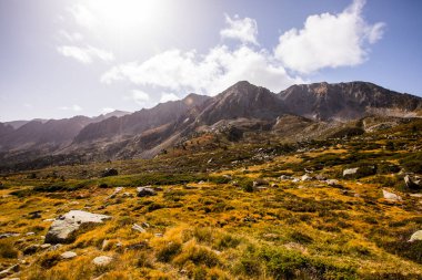 Mountain landscape in Campcardos valley, La Cerdanya, Pyrenees, France.