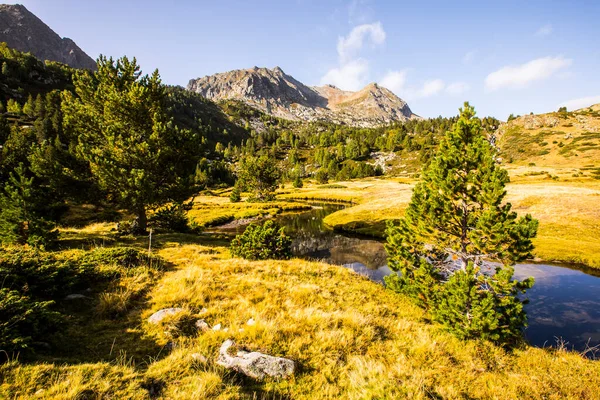 Горный Пейзаж Долине Кампкардос Серданья Пиренеи Франция — стоковое фото
