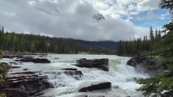 Summer Athabasca Falls Jasper National Park Canada — Video Stock