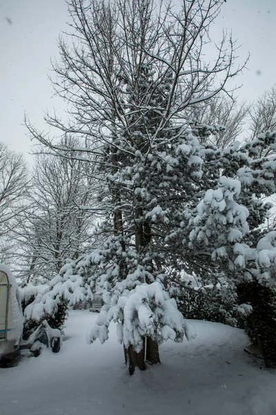 Χειμερινό Τοπίο Και Χιονόπτωση Cerdagne Pyrenees France — Φωτογραφία Αρχείου