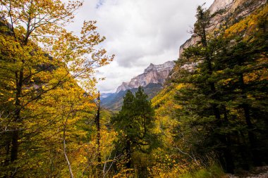 Sonbahar Ordesa ve Monte Perdido Ulusal Parkı, İspanya