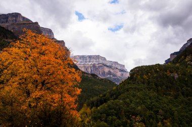 Sonbahar Ordesa ve Monte Perdido Ulusal Parkı, İspanya