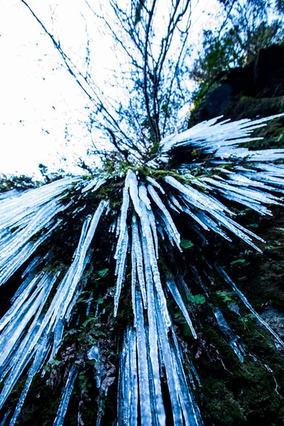 Winter Landscape Salt Del Roure Waterfall Garrotxa Spain — Zdjęcie stockowe