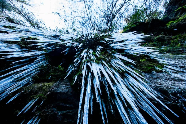 Winter Landscape Salt Del Roure Waterfall Garrotxa Spain — Stock Fotó