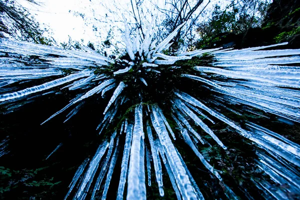 Winter Landscape Salt Del Roure Waterfall Garrotxa Spain — 图库照片