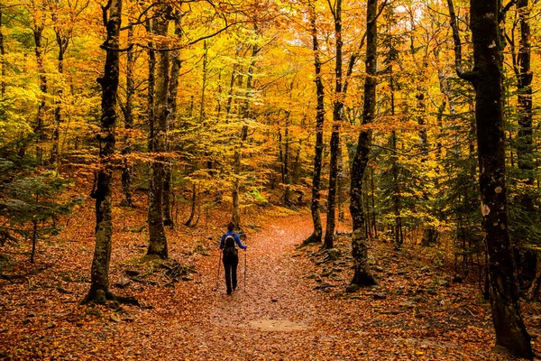 Sonbaharda Ordesa ve Monte Perdido Ulusal Parkı 'nda genç bir kadın.