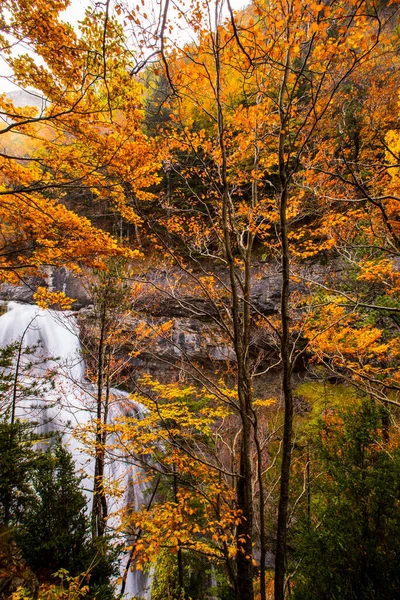 Herbst Ordesa Und Nationalpark Monte Perdido Spanien — Stockfoto