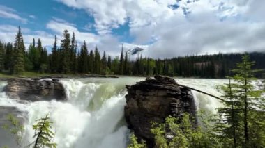 Athabasca Şelaleleri 'nde yaz, Jasper Ulusal Parkı, Kanada