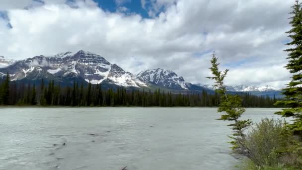 Summer Landscape Jasper National Park Canada — стоковое видео