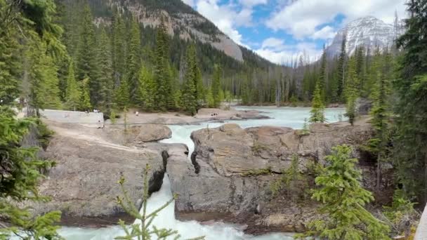 Summer Natural Bridge Yoho National Park Canada — 图库视频影像