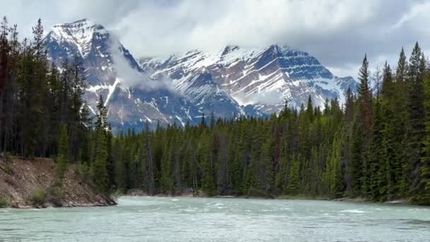 Summer Landscape Jasper National Park Canada — Vídeo de Stock