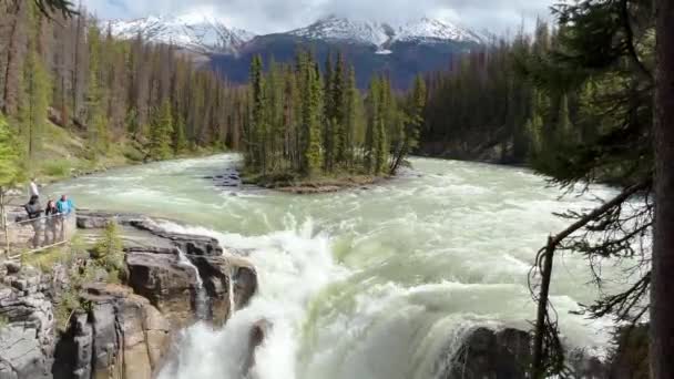 Summer Sunwapta Falls Jasper National Park Canada — Video