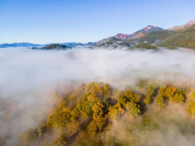 Autumn landscape in Sant Joan Les Abadesses, Pyrenees, Spain.