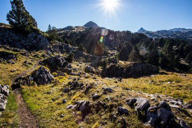 Summer landscape in the mountains of Navarra, Pyrenees, northern Spain