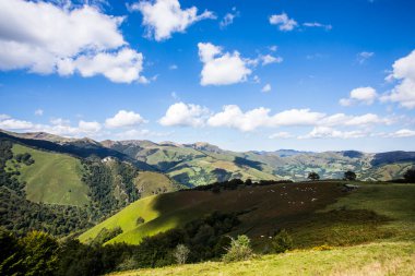 Summer landscape in the mountains of Navarra, Pyrenees, northern Spain
