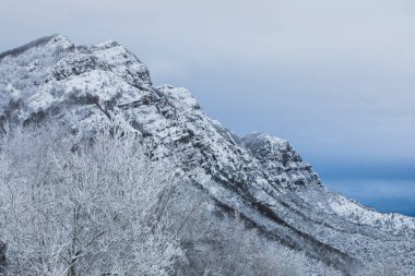 Winter snowfall in Collada De Bracons and Puigsacalm peak, La Garrotxa, Girona, northern Spain.