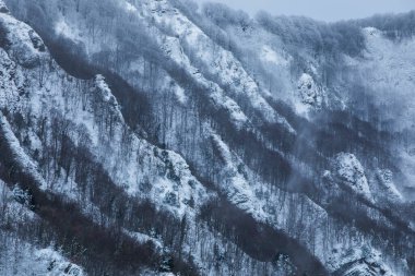 Winter snowfall in Collada De Bracons and Puigsacalm peak, La Garrotxa, Girona, northern Spain.