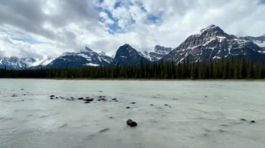 Kanada Jasper Ulusal Parkı 'nda yaz manzarası