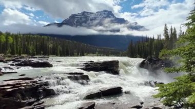 Athabasca Şelaleleri 'nde yaz, Jasper Ulusal Parkı, Kanada