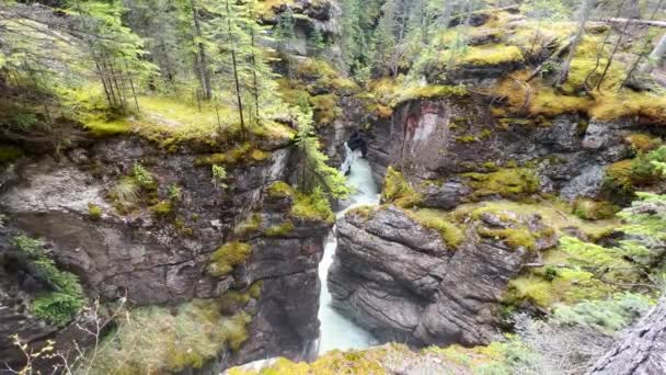 Summer Landscape Maligne Canyon Jasper National Park Canada — Video Stock