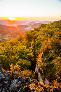 Spring sunrise in La Fageda D En Jorda Forest, La Garrotxa, Spain.