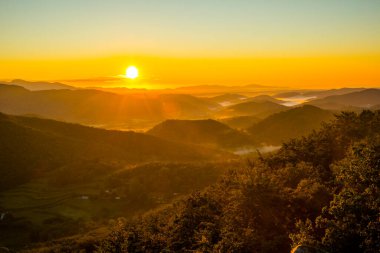 Spring sunrise in La Fageda D En Jorda Forest, La Garrotxa, Spain.