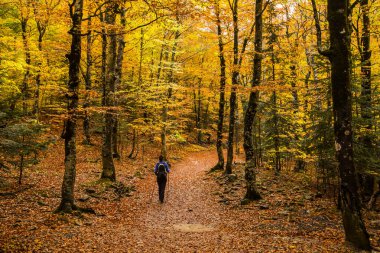 Sonbaharda Ordesa ve Monte Perdido Ulusal Parkı 'nda genç bir kadın.