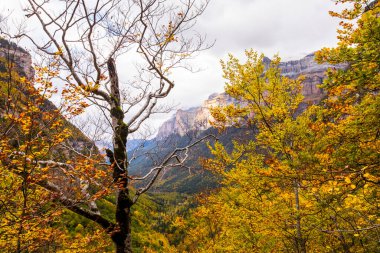 Sonbahar Ordesa ve Monte Perdido Ulusal Parkı, İspanya