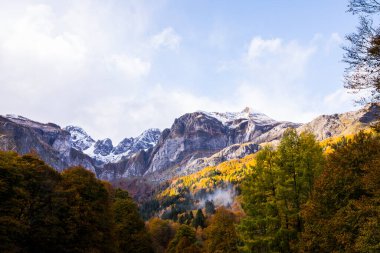 Somport, Pireneler, Fransa 'da Sonbahar