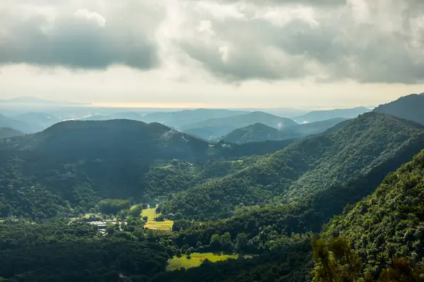 Spring Sunrise Fageda Jorda Forest Garrotxa Spain — Foto Stock