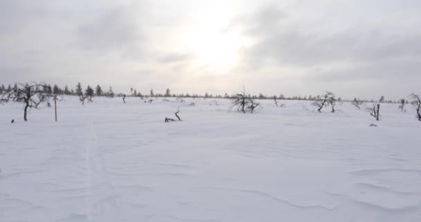 Ski Expedition Pallas Yllastunturi National Park Lapland Finland — Stock videók