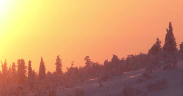 Zimowy Zachód Słońca Parku Narodowym Pallas Yllastunturi Laponia Finlandia — Wideo stockowe