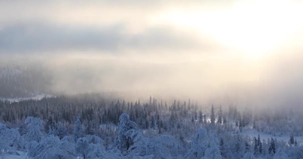 Vintersolnedgång Pallas Yllastunturi Nationalpark Lappland Finland — Stockvideo