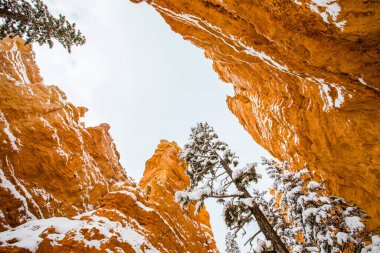 Kış manzarası Bryce Canyon Ulusal Parkı, Amerika Birleşik Devletleri