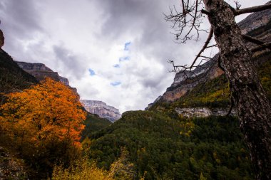 Sonbahar Ordesa ve Monte Perdido Ulusal Parkı, İspanya