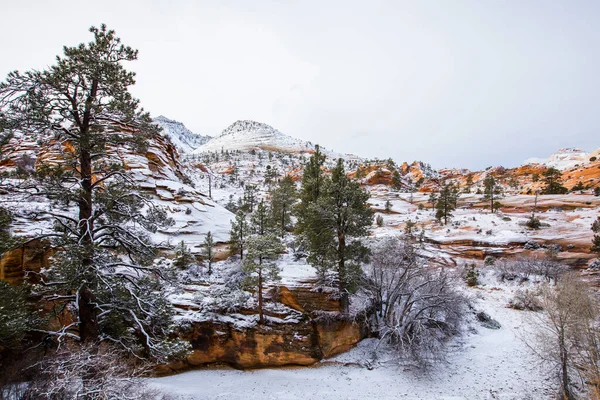 Paisaje Invernal Parque Nacional Zion Estados Unidos América — Foto de Stock