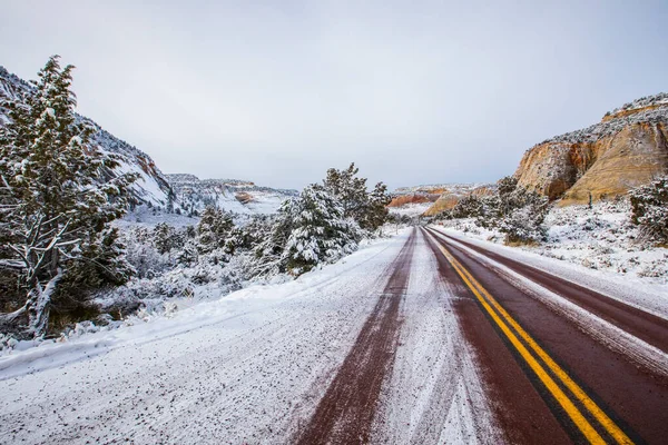 Hiver Dans Parc National Zion États Unis Amérique — Photo