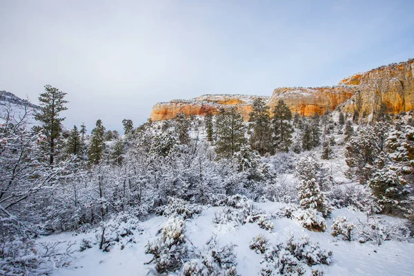 Krajobraz Zimowy Parku Narodowym Zion Stany Zjednoczone Ameryki — Zdjęcie stockowe