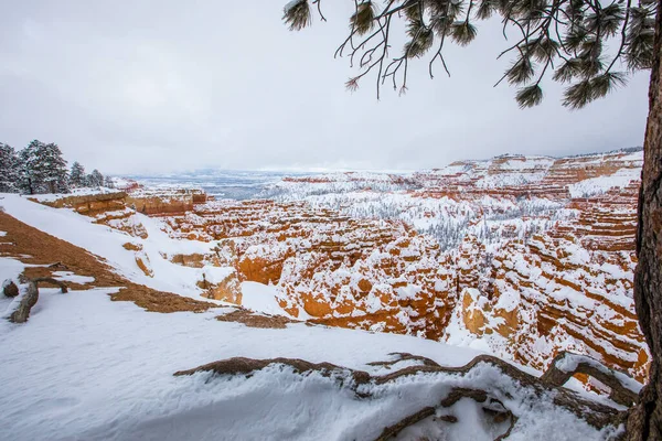 Paisaje Invernal Bryce Canyon National Park Estados Unidos América — Foto de Stock