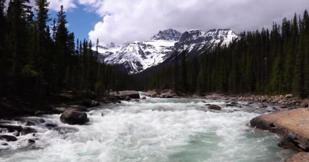 Summer Landscape Mistaya Canyon Banff National Park Canada — Stockvideo